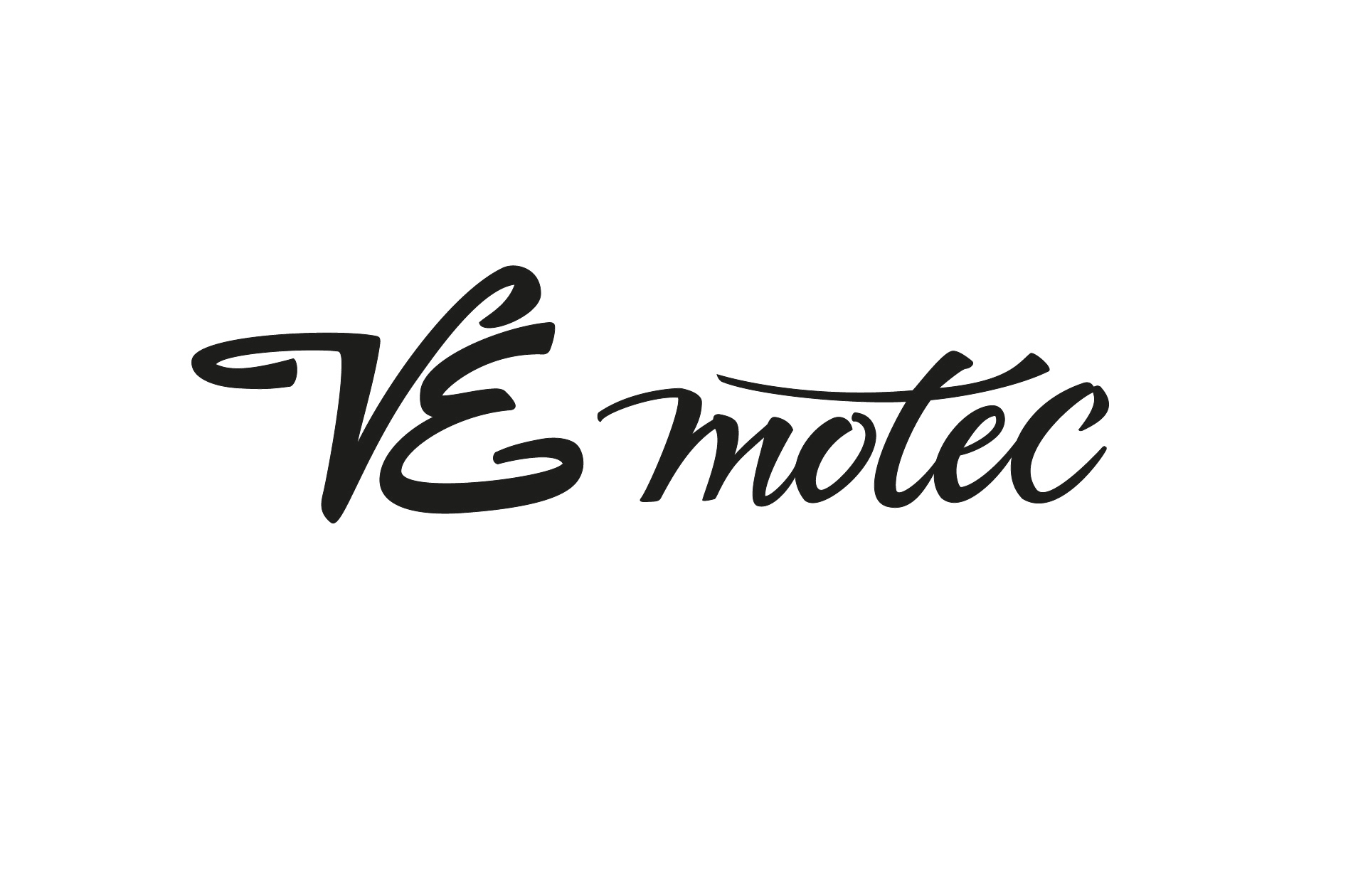 Logo VE motec